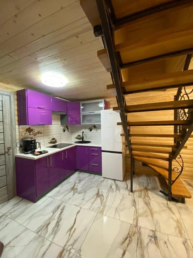 Apartamento Vienna House Yaremche Exterior foto